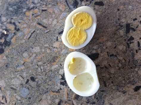 two yolks in one egg|Iba pa.